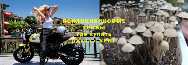 молекула духа Володарск