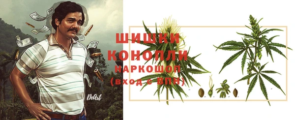 молекула духа Володарск
