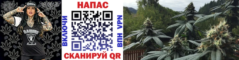 Марихуана конопля  Златоуст 